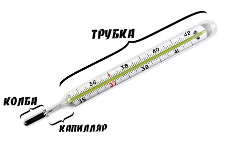 Механизм усилия ртутного градусника