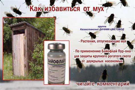 Механические методы уничтожения мух