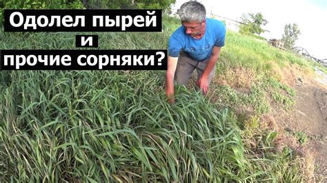 Механические способы избавления от сорняков