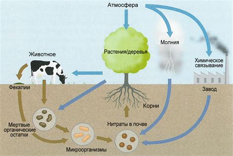 Минералогические процессы в природе