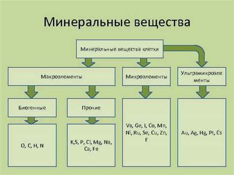 Минеральные вещества и элементы