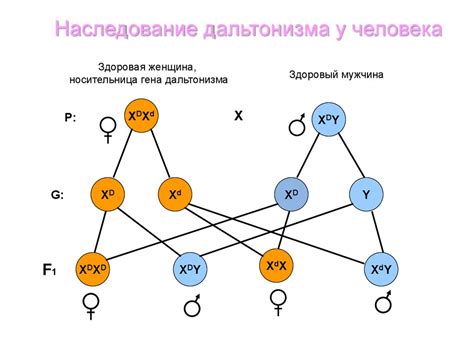 Миф о наследственности