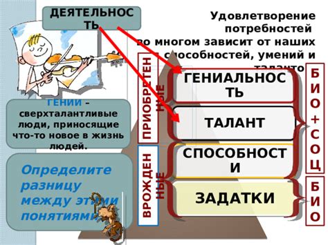 Многообразие его талантов и умений