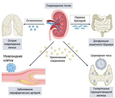 Молекулярные механизмы взаимодействия с остатком