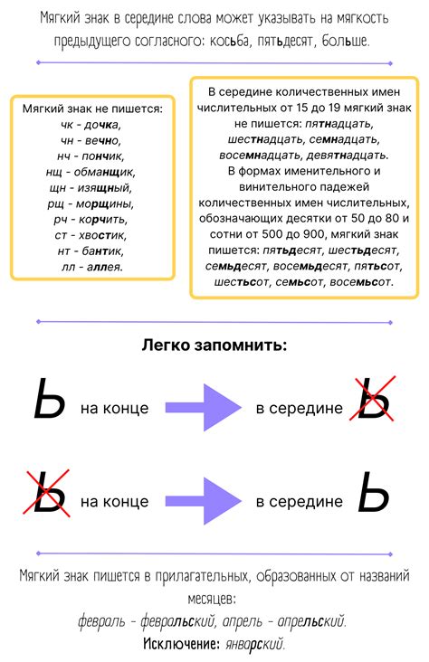 Мягкий знак в склонении и спряжении