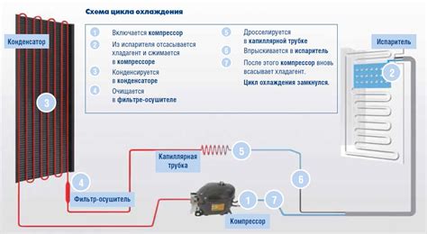 Назначение и устройство холодильника