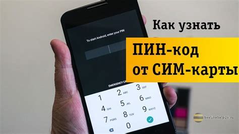 Найдите информацию о владельце карты