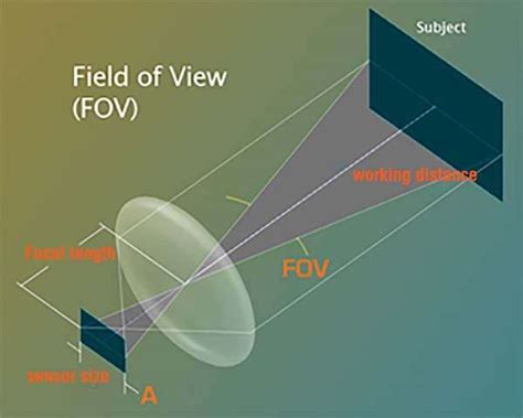 Найдите параметр Field of View (FOV)