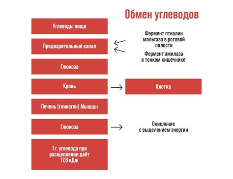 Нарушение гармонии в организме