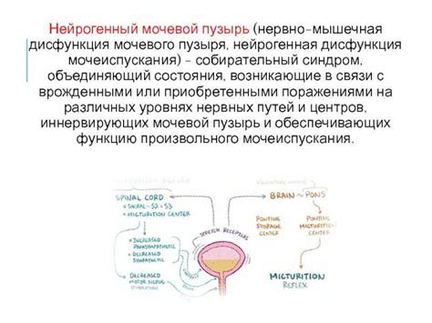 Нарушения работы мочевого пузыря