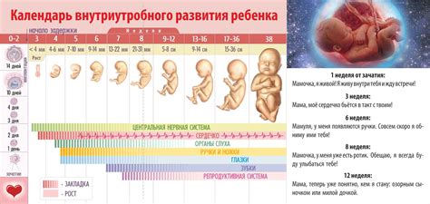 Нарушения развития во время беременности