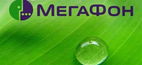 Наслаждайтесь быстрым интернетом от Мегафон