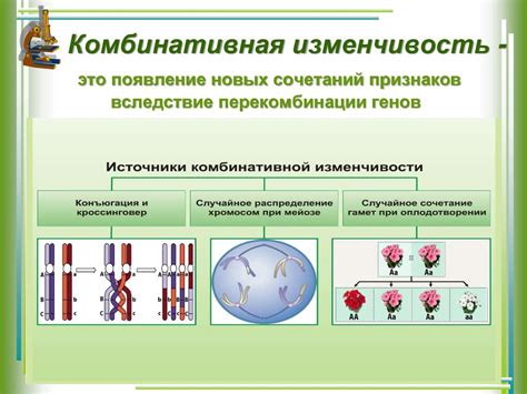 Наследственная неисправность