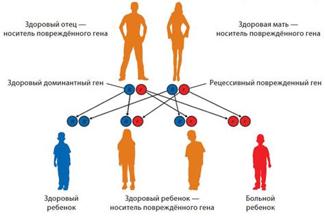 Наследственность влияет?