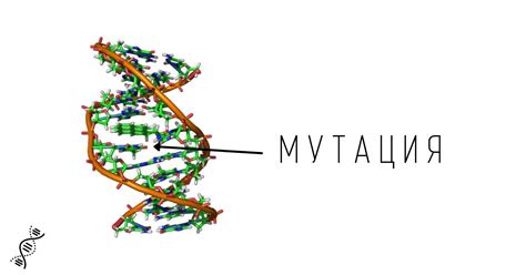 Наследственные факторы и мутации
