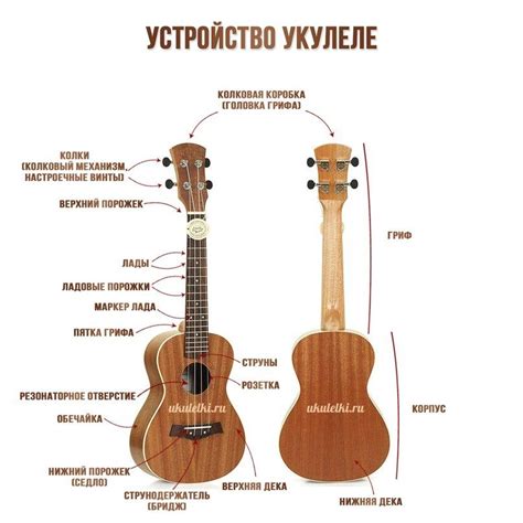 Настройка гавайской гитары укулеле