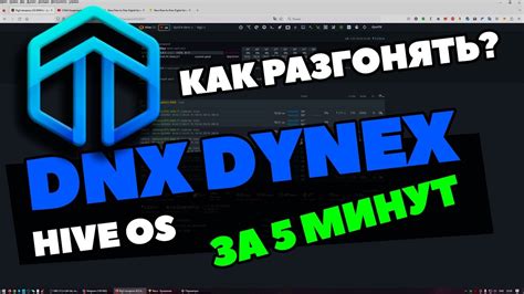 Настройка рига на Dynex на Raweos