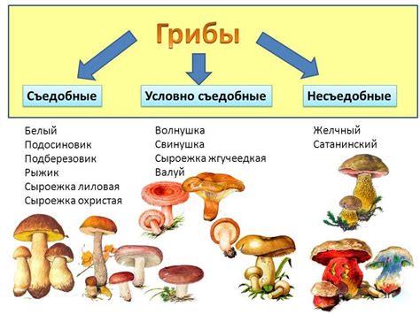 Насыщенные вкусом овощи и грибы