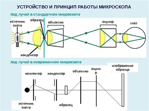 Наука о зудении глаз