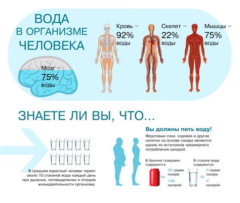 Недостаток жидкости в организме