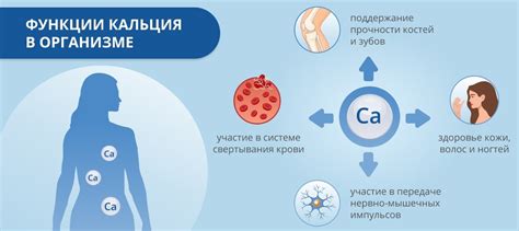 Недостаток кальция и других витаминов