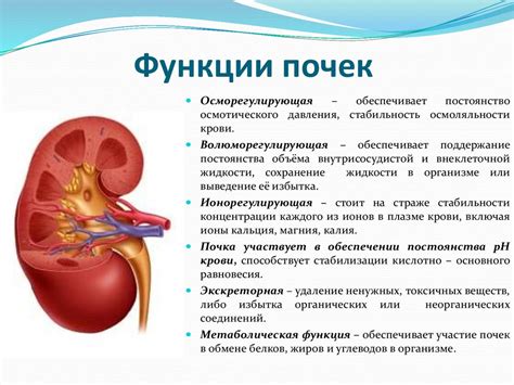 Недостаток функции почек