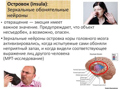 Нейробиологические аспекты