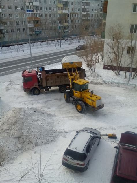 Несвоевременная уборка поверхностей