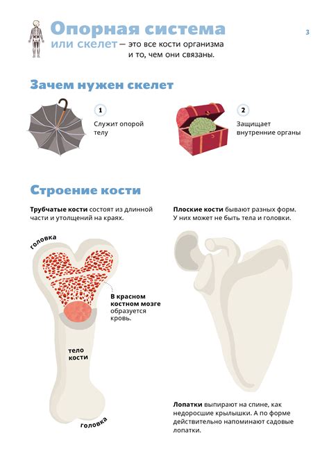 Неформированная опорная система