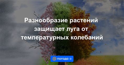 Оберегайте от температурных колебаний