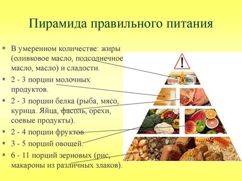 Обеспечение правильного питания шмеля