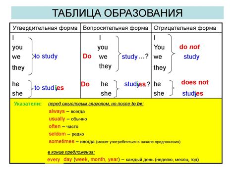 Обзор команды "Симпл" в настоящее время