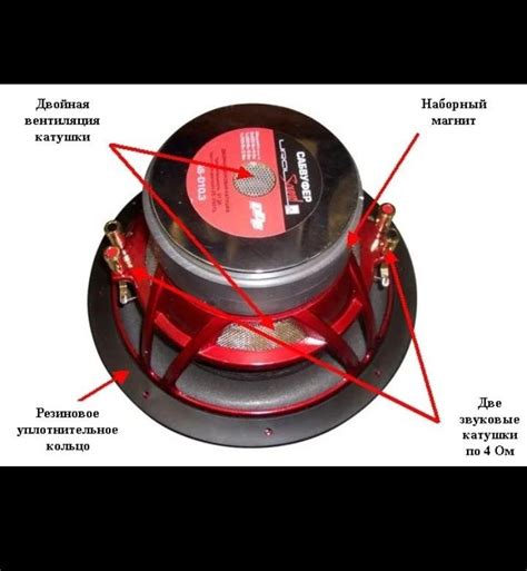Обзор сабвуфера с двумя катушками