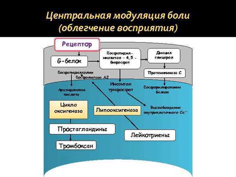 Облегчение восприятия боли