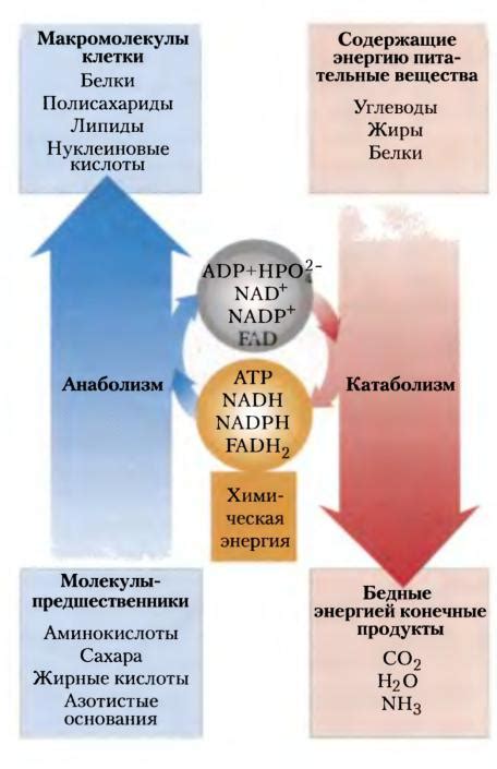 Обратимость процесса