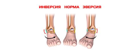 Обратите внимание на поддержку голеностопа и устойчивость