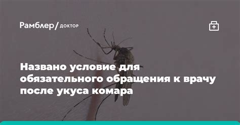 Обращение к врачу после укуса крысы