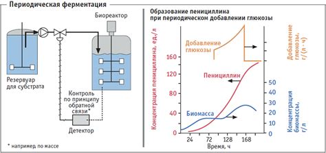 Обрыв процесса ферментации