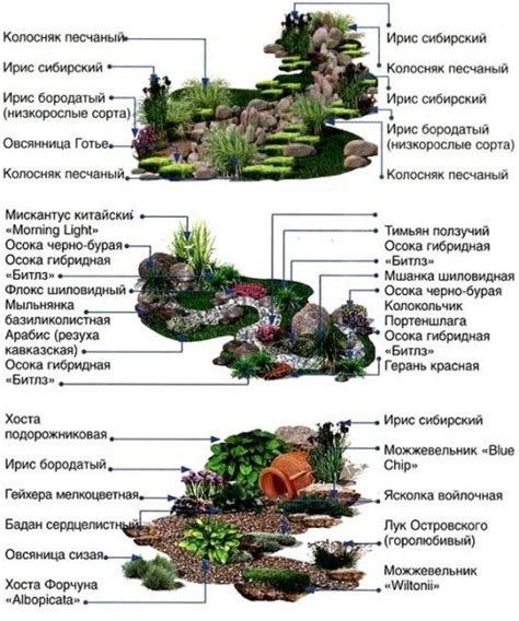 Обустройство и декорирование