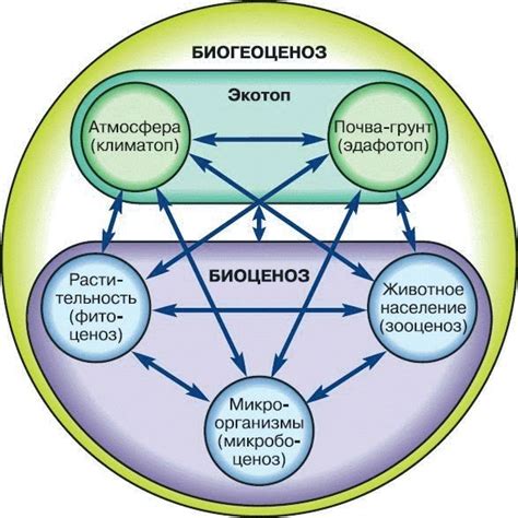 Обустройство экосистемы