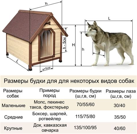 Обучение и размер собаки