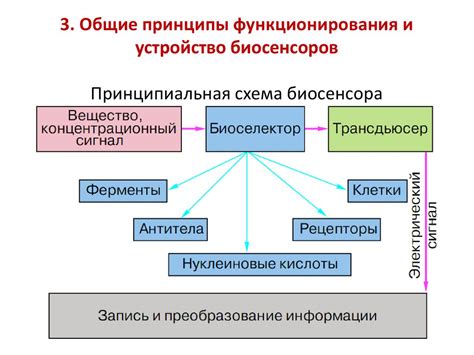 Общие принципы воссоединения