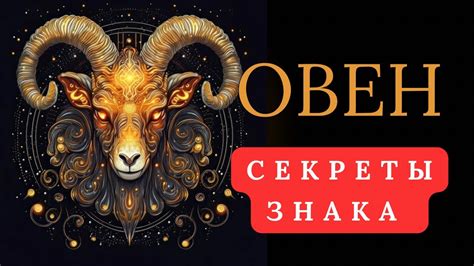 Овен Клауд: ключевые особенности