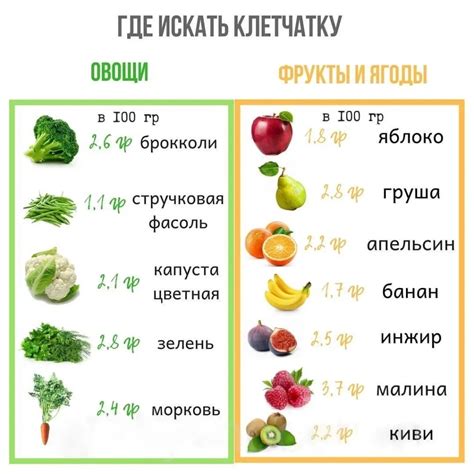 Овощи как источник клетчатки: залог здорового пищеварения