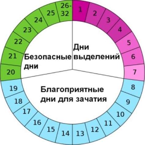 Овуляция и оптимальное время для зачатия