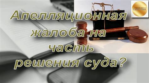 Ожидание ответа суда на апелляционную жалобу