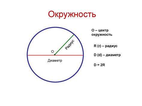 Окружность и ее диаметр: важное понятие в геометрии