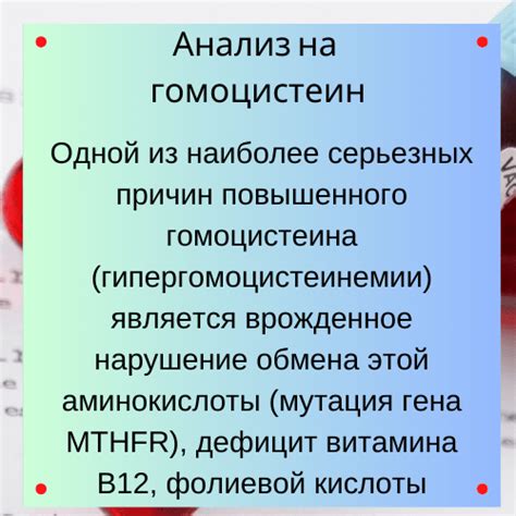 Опасности и последствия повышенного гомоцистеина