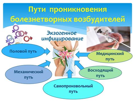 Опасность для органов репродуктивной системы