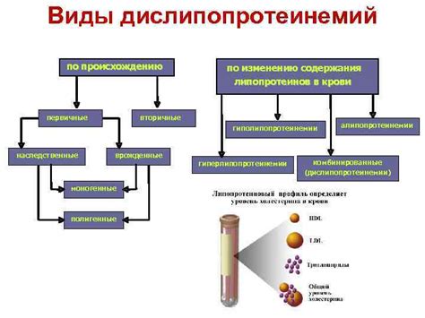 Опасность повышенного содержания липопротеинов